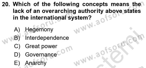 International Organization And Global Governance Dersi 2024 - 2025 Yılı Yaz Okulu Sınav Soruları 20. Soru