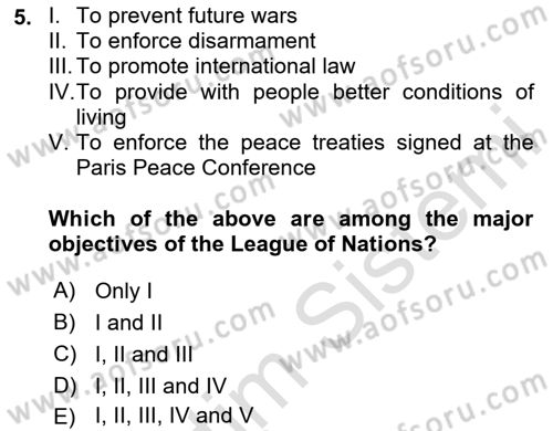 International Organization And Global Governance Dersi 2024 - 2025 Yılı Yaz Okulu Sınav Soruları 5. Soru