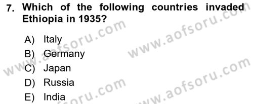 International Organization And Global Governance Dersi 2024 - 2025 Yılı Yaz Okulu Sınav Soruları 7. Soru