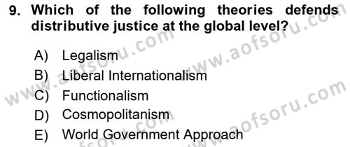 International Organization And Global Governance Dersi 2024 - 2025 Yılı Yaz Okulu Sınav Soruları 9. Soru