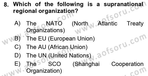 Regional Organizations Dersi 2021 - 2022 Yılı (Final) Dönem Sonu Sınav Soruları 8. Soru