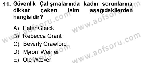 Strateji ve Güvenlik Dersi 2013 - 2014 Yılı Tek Ders Sınav Soruları 11. Soru