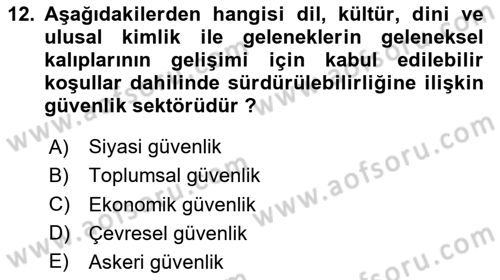 Strateji ve Güvenlik Dersi 2024 - 2025 Yılı (Final) Dönem Sonu Sınav Soruları 12. Soru