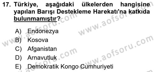 Strateji ve Güvenlik Dersi 2024 - 2025 Yılı (Final) Dönem Sonu Sınav Soruları 17. Soru