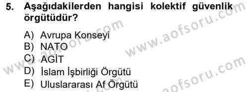 Uluslararası Örgütler Dersi 2012 - 2013 Yılı (Vize) Ara Sınav Soruları 5. Soru