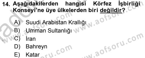 Uluslararası Örgütler Dersi 2016 - 2017 Yılı 3 Ders Sınav Soruları 14. Soru