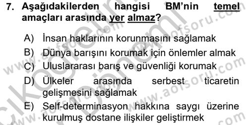 Uluslararası Örgütler Dersi 2016 - 2017 Yılı (Vize) Ara Sınav Soruları 7. Soru