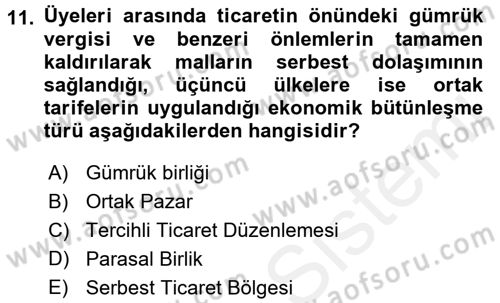 Uluslararası Örgütler Dersi 2017 - 2018 Yılı (Final) Dönem Sonu Sınavı 11. Soru