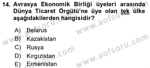 Uluslararası Örgütler Dersi 2018 - 2019 Yılı 3 Ders Sınav Soruları 14. Soru