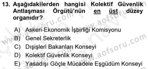 Uluslararası Örgütler Dersi 2018 - 2019 Yılı (Vize) Ara Sınav Soruları 13. Soru