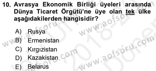 Uluslararası Örgütler Dersi 2018 - 2019 Yılı (Final) Dönem Sonu Sınav Soruları 10. Soru