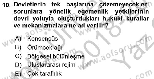 Uluslararası Örgütler Dersi 2018 - 2019 Yılı Yaz Okulu Sınav Soruları 10. Soru