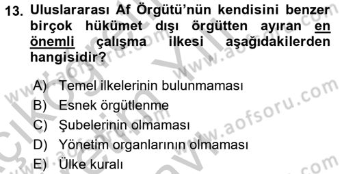 Uluslararası Örgütler Dersi 2018 - 2019 Yılı Yaz Okulu Sınav Soruları 13. Soru