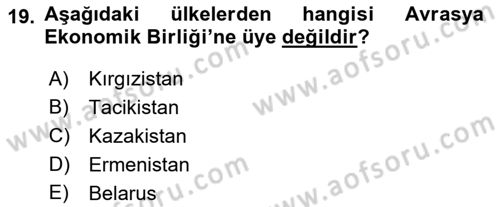 Uluslararası Örgütler Dersi 2018 - 2019 Yılı Yaz Okulu Sınav Soruları 19. Soru