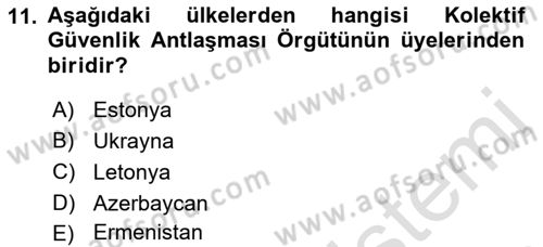 Uluslararası Örgütler Dersi 2021 - 2022 Yılı (Vize) Ara Sınav Soruları 11. Soru