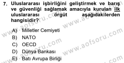 Uluslararası Örgütler Dersi 2021 - 2022 Yılı (Vize) Ara Sınavı 7. Soru