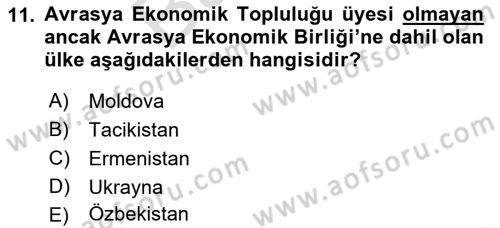 Uluslararası Örgütler Dersi 2021 - 2022 Yılı (Final) Dönem Sonu Sınav Soruları 11. Soru