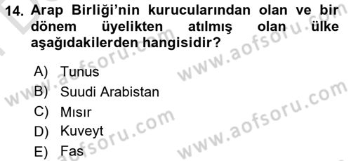 Uluslararası Örgütler Dersi 2021 - 2022 Yılı (Final) Dönem Sonu Sınav Soruları 14. Soru
