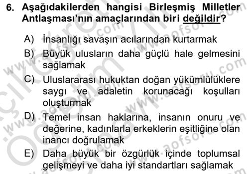 Uluslararası Örgütler Dersi 2021 - 2022 Yılı Yaz Okulu Sınav Soruları 6. Soru