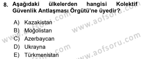 Uluslararası Örgütler Dersi 2021 - 2022 Yılı Yaz Okulu Sınav Soruları 8. Soru
