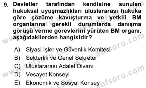 Uluslararası Örgütler Dersi 2021 - 2022 Yılı Yaz Okulu Sınav Soruları 9. Soru