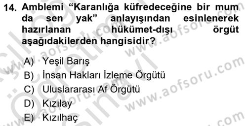 Uluslararası Örgütler Dersi 2022 - 2023 Yılı Yaz Okulu Sınav Soruları 14. Soru