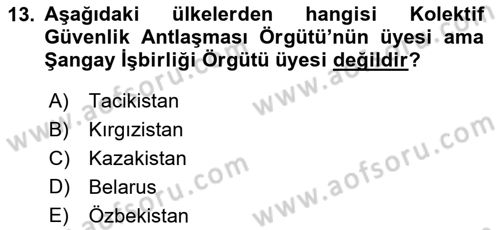 Uluslararası Örgütler Dersi 2023 - 2024 Yılı (Vize) Ara Sınav Soruları 13. Soru