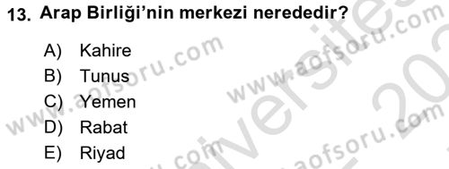 Uluslararası Örgütler Dersi 2023 - 2024 Yılı (Final) Dönem Sonu Sınav Soruları 13. Soru