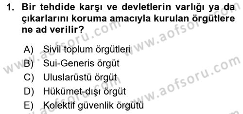 Uluslararası Örgütler Dersi 2023 - 2024 Yılı Yaz Okulu Sınav Soruları 1. Soru