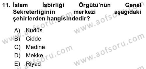 Uluslararası Örgütler Dersi 2023 - 2024 Yılı Yaz Okulu Sınav Soruları 11. Soru