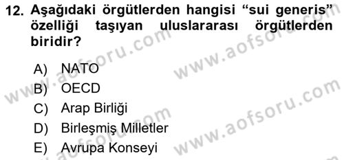 Uluslararası Örgütler Dersi 2023 - 2024 Yılı Yaz Okulu Sınav Soruları 12. Soru