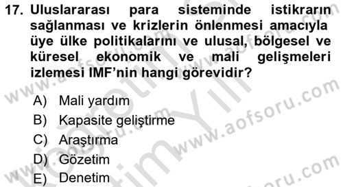 Uluslararası Örgütler Dersi 2023 - 2024 Yılı Yaz Okulu Sınav Soruları 17. Soru