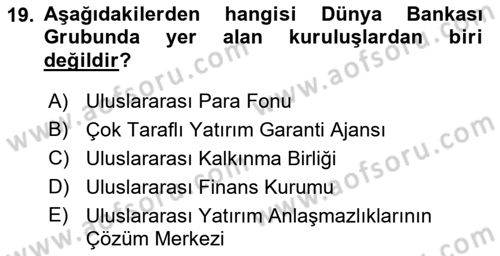 Uluslararası Örgütler Dersi 2023 - 2024 Yılı Yaz Okulu Sınav Soruları 19. Soru