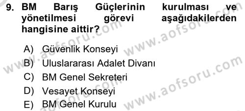 Uluslararası Örgütler Dersi 2023 - 2024 Yılı Yaz Okulu Sınav Soruları 9. Soru