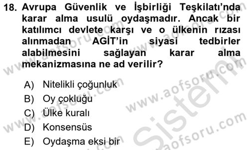 Uluslararası Örgütler Dersi 2024 - 2025 Yılı (Vize) Ara Sınav Soruları 18. Soru