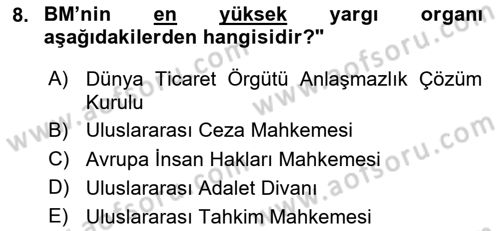 Uluslararası Örgütler Dersi 2024 - 2025 Yılı (Vize) Ara Sınav Soruları 8. Soru