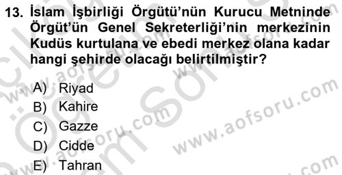 Uluslararası Örgütler Dersi 2024 - 2025 Yılı (Final) Dönem Sonu Sınav Soruları 13. Soru
