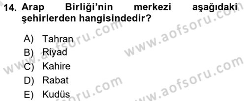 Uluslararası Örgütler Dersi 2024 - 2025 Yılı (Final) Dönem Sonu Sınav Soruları 14. Soru