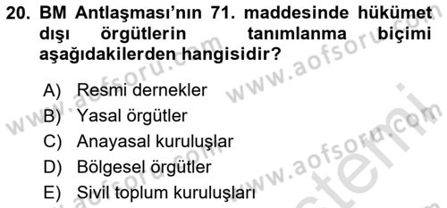 Uluslararası Örgütler Dersi 2024 - 2025 Yılı (Final) Dönem Sonu Sınav Soruları 20. Soru