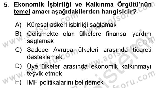 Uluslararası Örgütler Dersi 2024 - 2025 Yılı (Final) Dönem Sonu Sınav Soruları 5. Soru