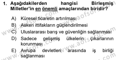 Uluslararası Örgütler Dersi 2024 - 2025 Yılı Yaz Okulu Sınav Soruları 1. Soru