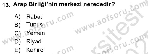 Uluslararası Örgütler Dersi 2024 - 2025 Yılı Yaz Okulu Sınav Soruları 13. Soru