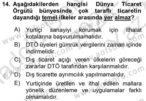 Uluslararası Örgütler Dersi 2024 - 2025 Yılı Yaz Okulu Sınav Soruları 14. Soru