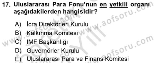 Uluslararası Örgütler Dersi 2024 - 2025 Yılı Yaz Okulu Sınav Soruları 17. Soru