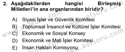 Uluslararası Örgütler Dersi 2024 - 2025 Yılı Yaz Okulu Sınav Soruları 2. Soru