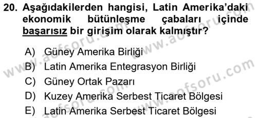 Uluslararası Örgütler Dersi 2024 - 2025 Yılı Yaz Okulu Sınav Soruları 20. Soru