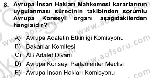Uluslararası Örgütler Dersi 2024 - 2025 Yılı Yaz Okulu Sınav Soruları 8. Soru