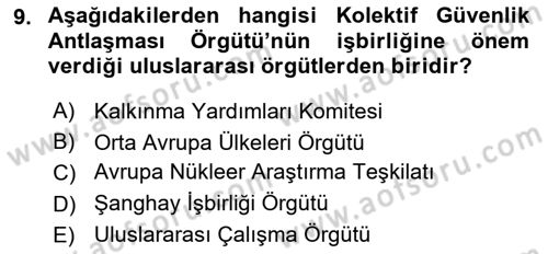 Uluslararası Örgütler Dersi 2024 - 2025 Yılı Yaz Okulu Sınav Soruları 9. Soru