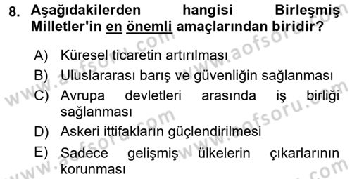 Uluslararası Örgütler Dersi 2025 - 2026 Yılı (Vize) Ara Sınav Soruları 8. Soru