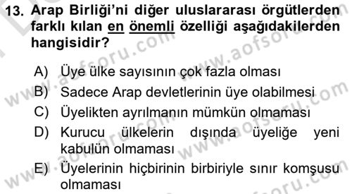 Uluslararası Örgütler Dersi 2025 - 2026 Yılı (Final) Dönem Sonu Sınav Soruları 13. Soru